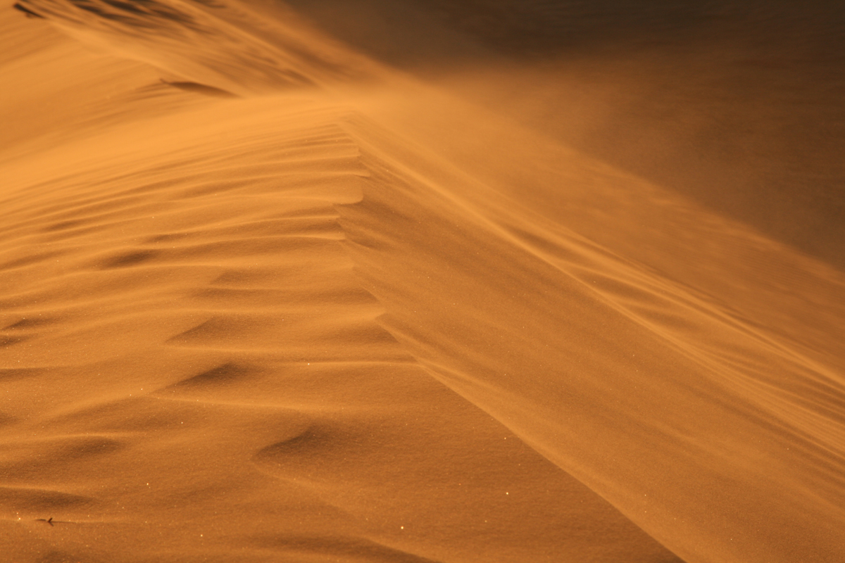 Zandduin in de duinenzee van Erg Admer