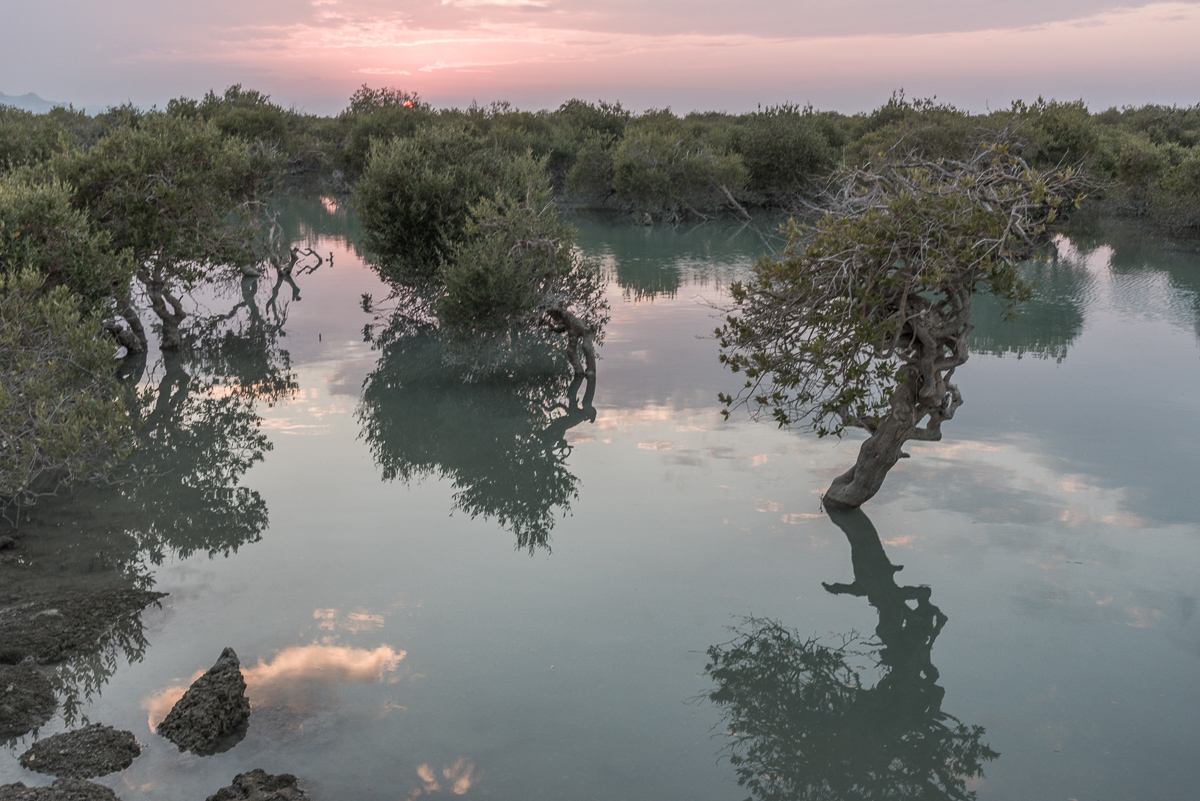 Zonsondergang op Qeshm in Hara mangrove bos