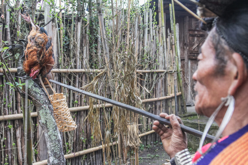 Sjamaan prevelt gebeden voordat een kip geofferd wordt tijdens Myoko ritueel in Arunachal Pradesh in India
