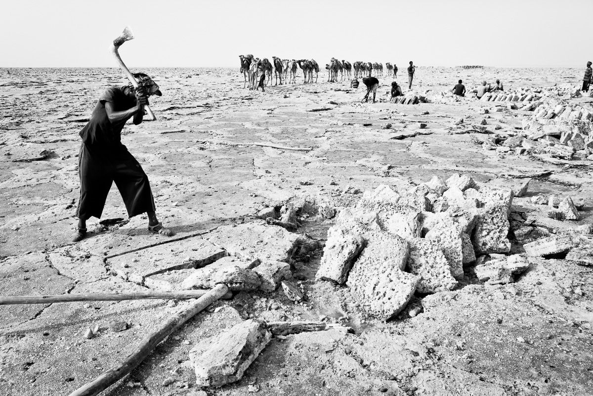 Hakken uit een zoutmeer in Danakil